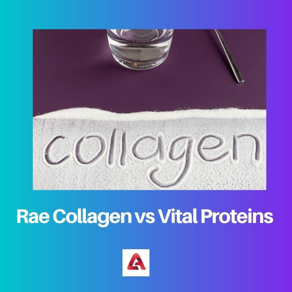 Rae Collagen vs Vital Proteins