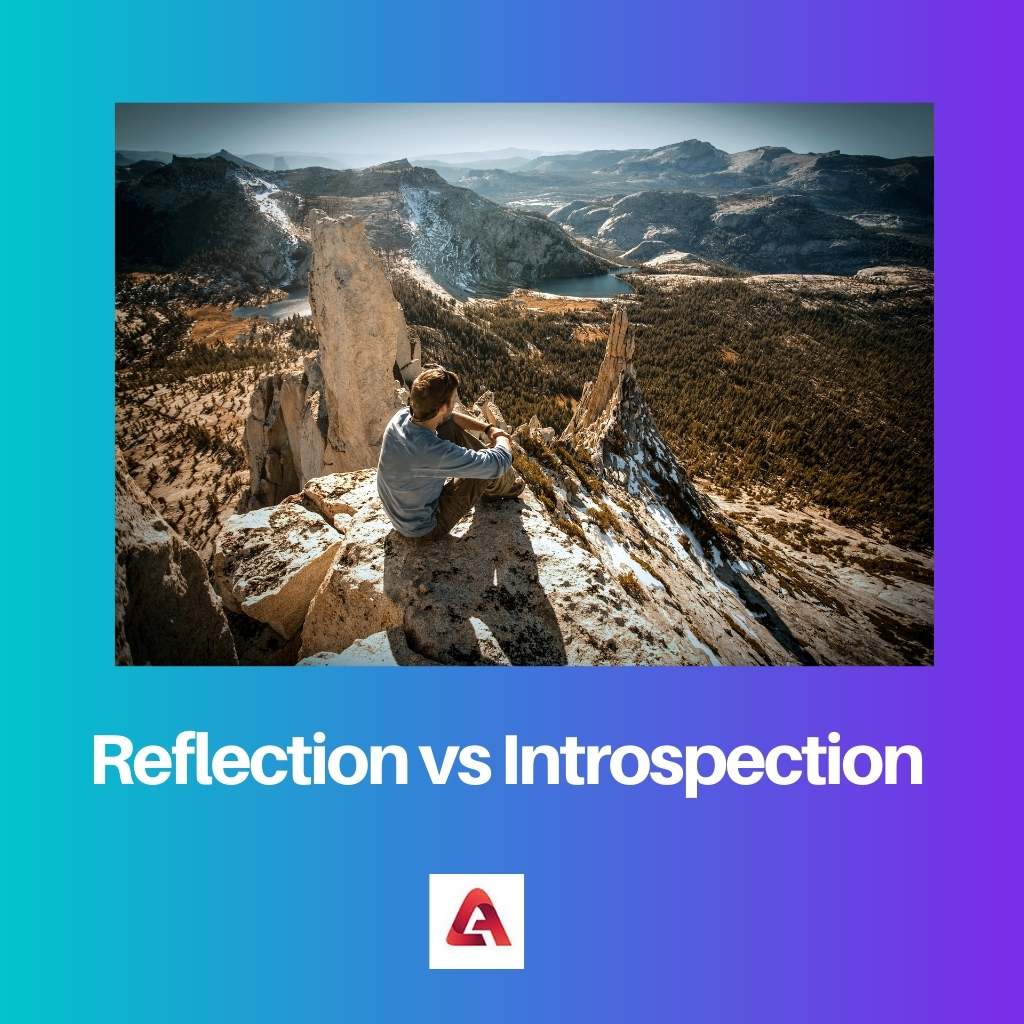 Reflexion vs. Introspektion