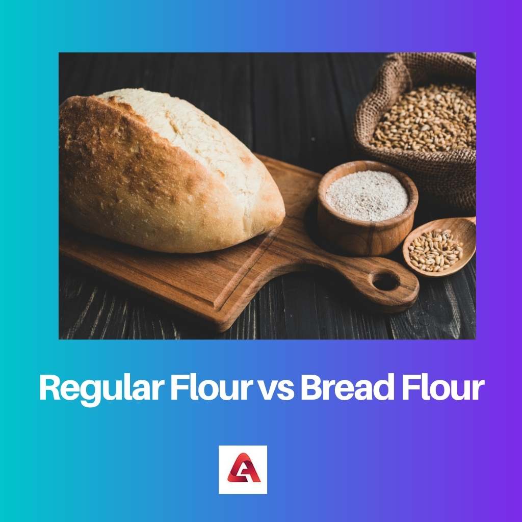 Harina regular vs harina de pan
