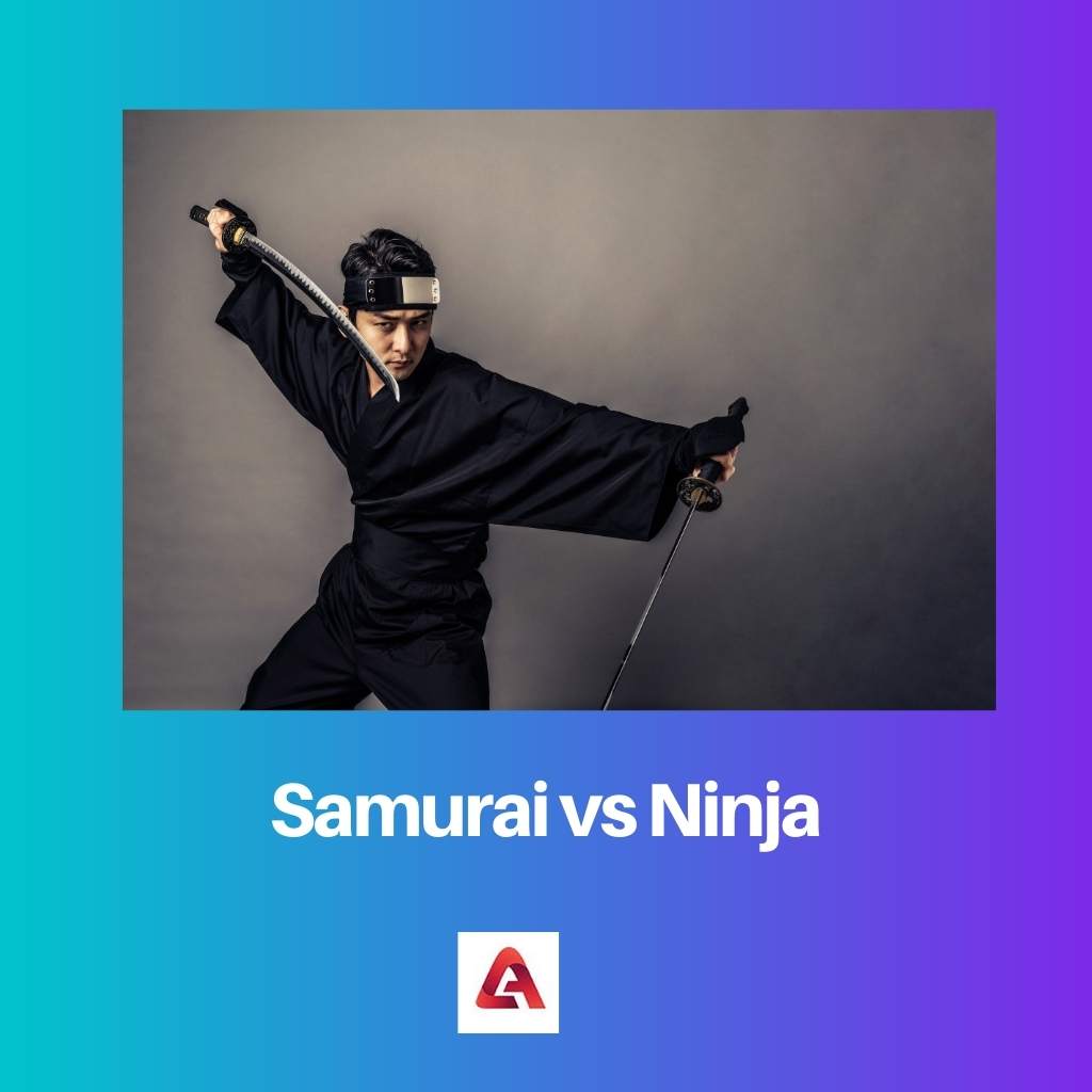 Samuraj vs Ninja