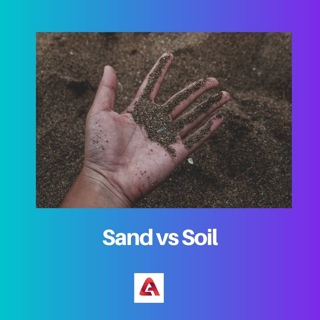 Písek vs půda