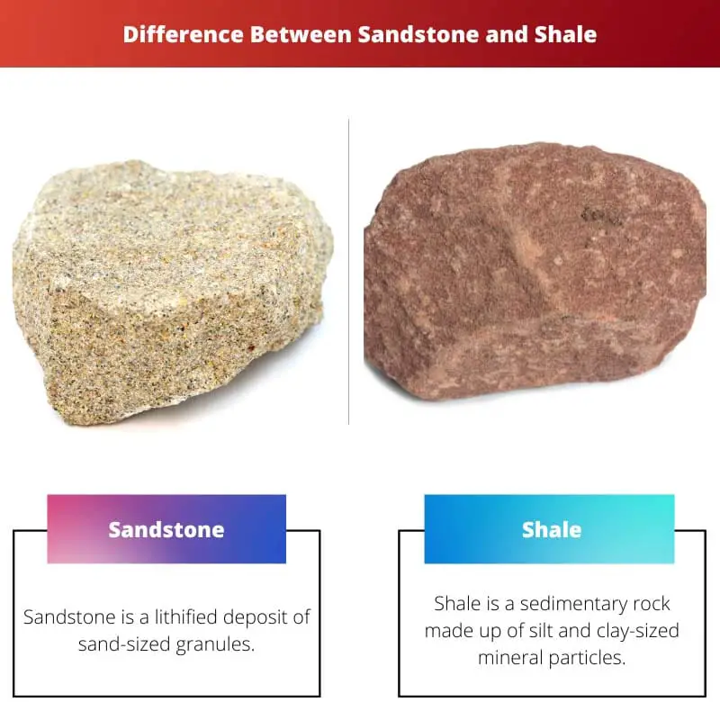 الحجر الرملي مقابل الصخر الزيتي - الفرق بين الحجر الرملي والصخر الزيتي