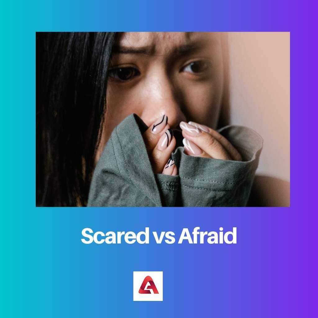 خائف مقابل خائف