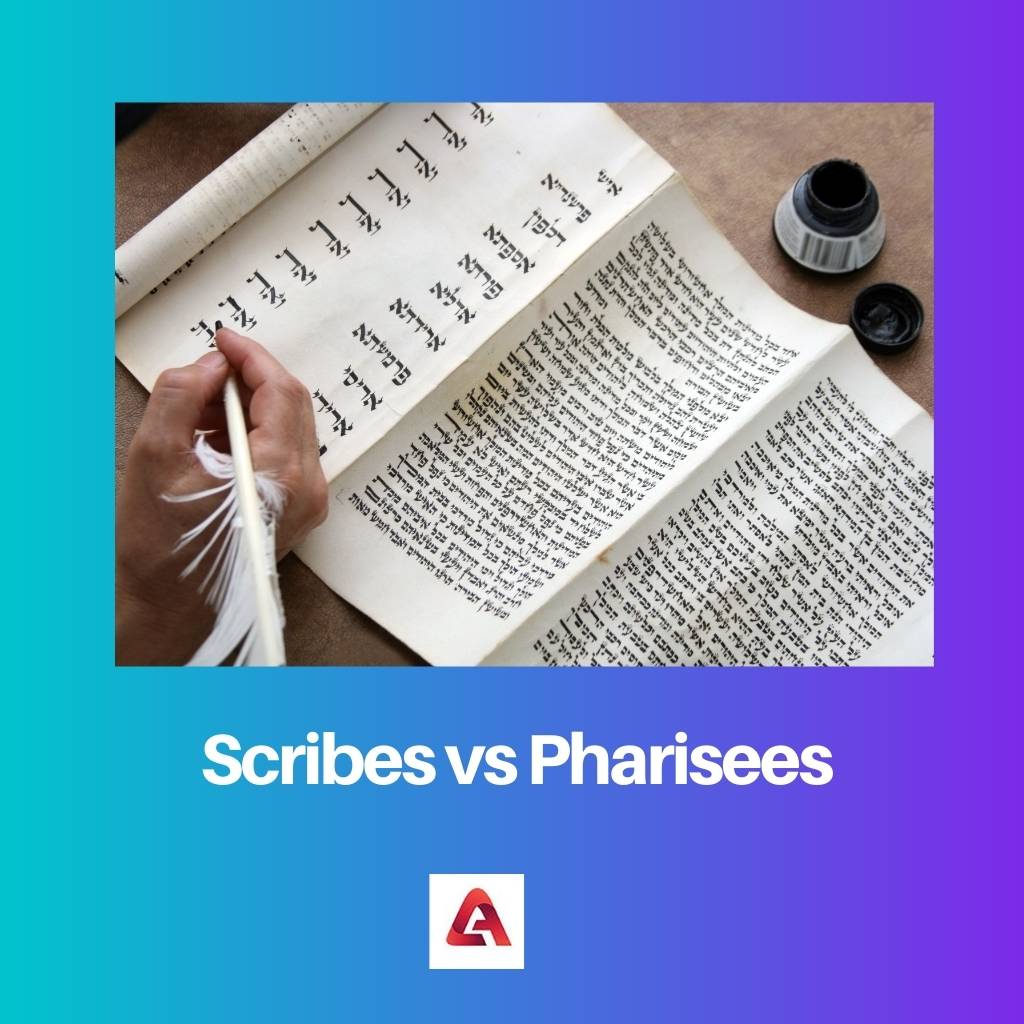 Scribes vs Pharisees