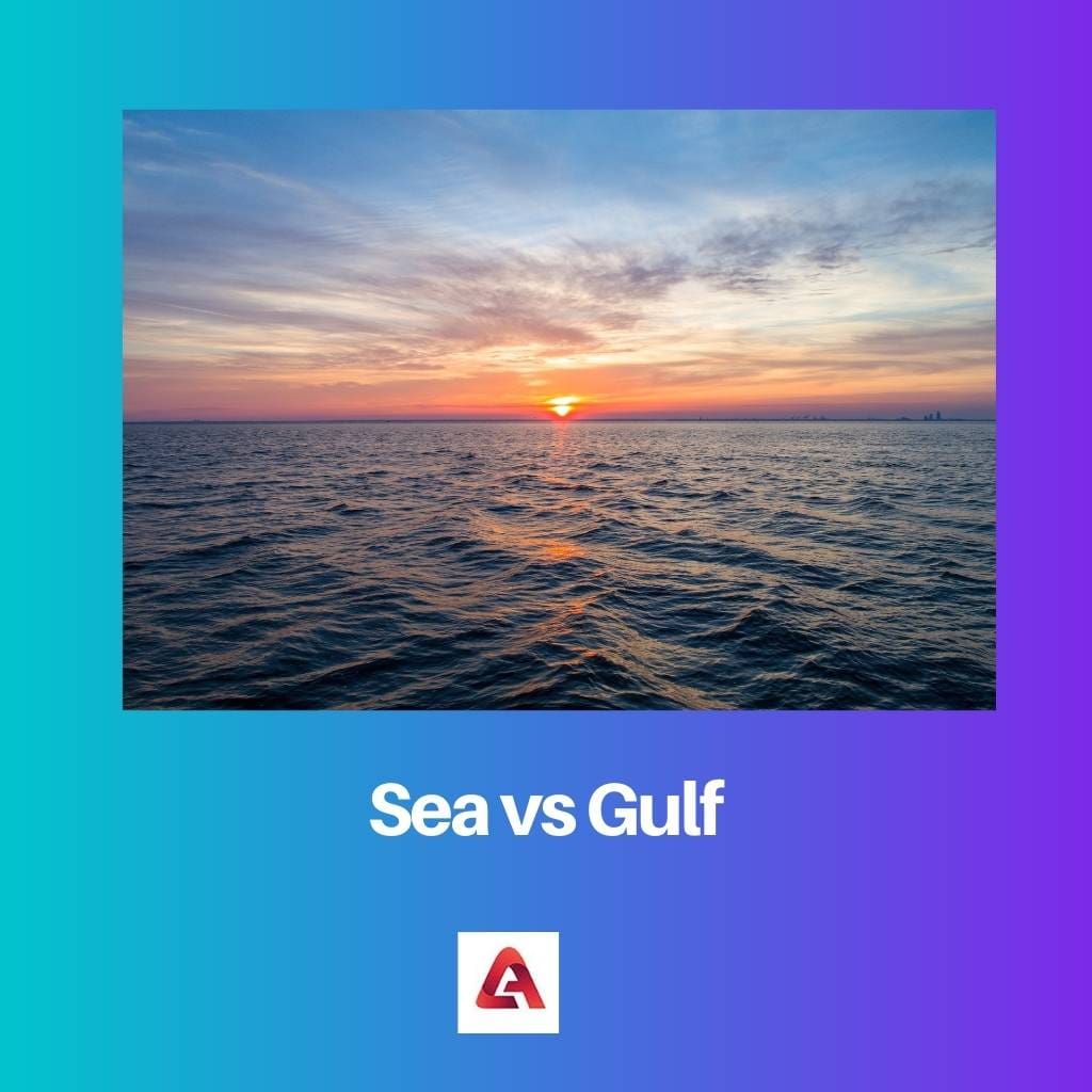 Sea vs Gulf
