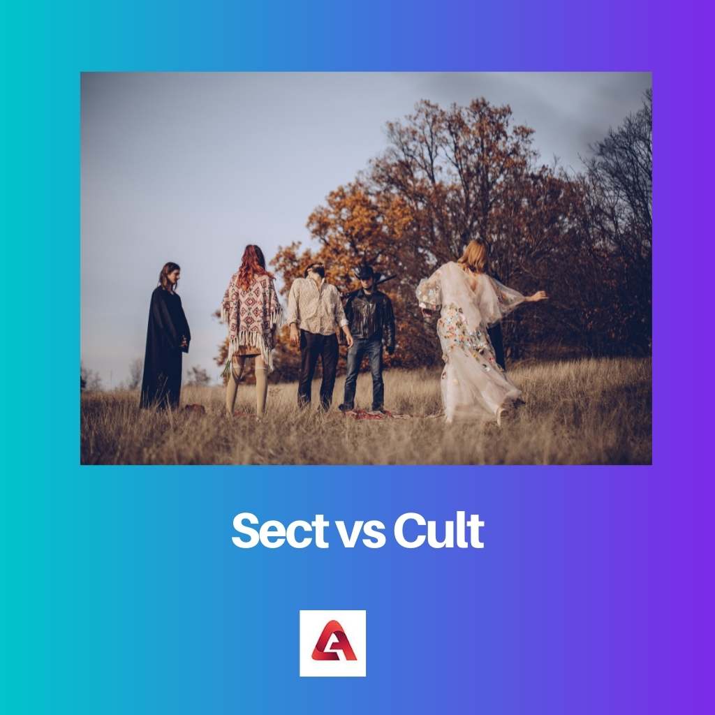 Sect vs Cult