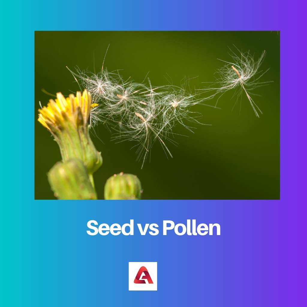 Seed vs Pollen