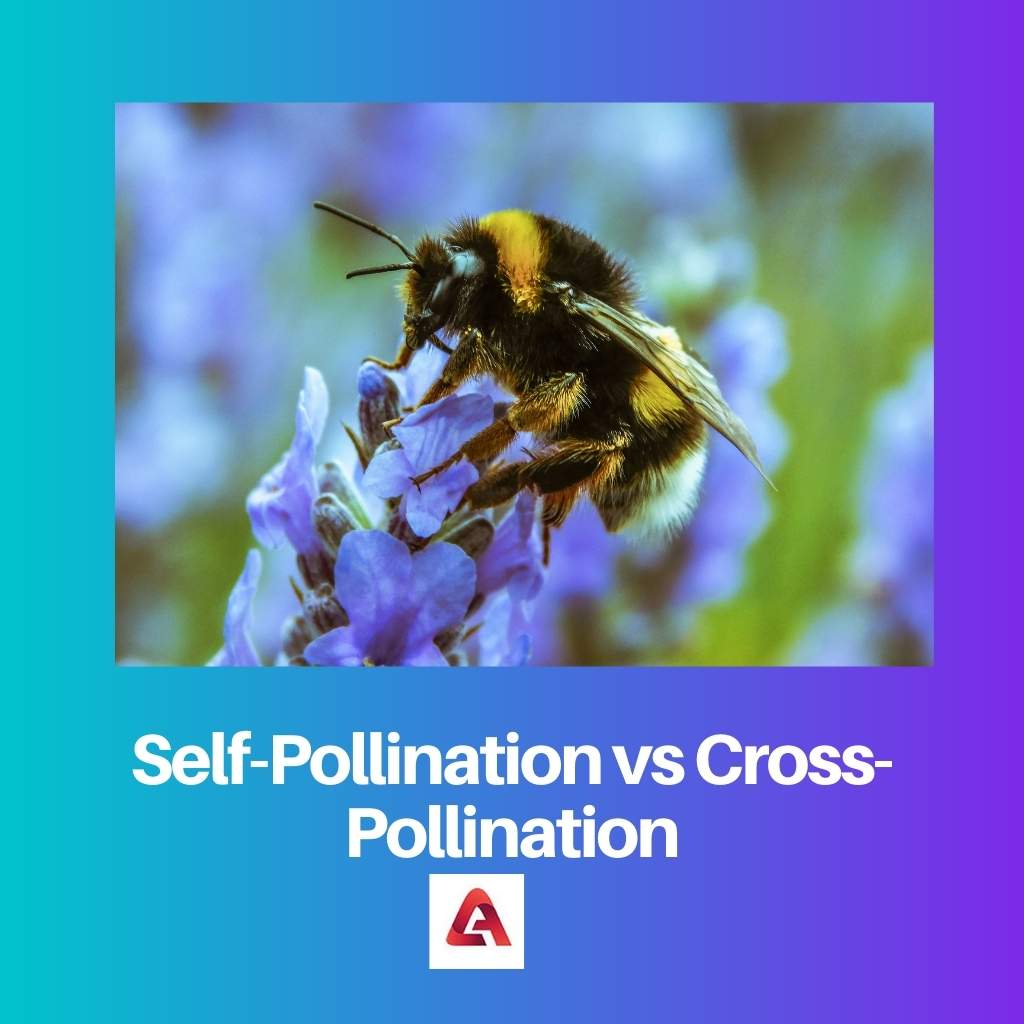 Auto pollinisation vs pollinisation croisée