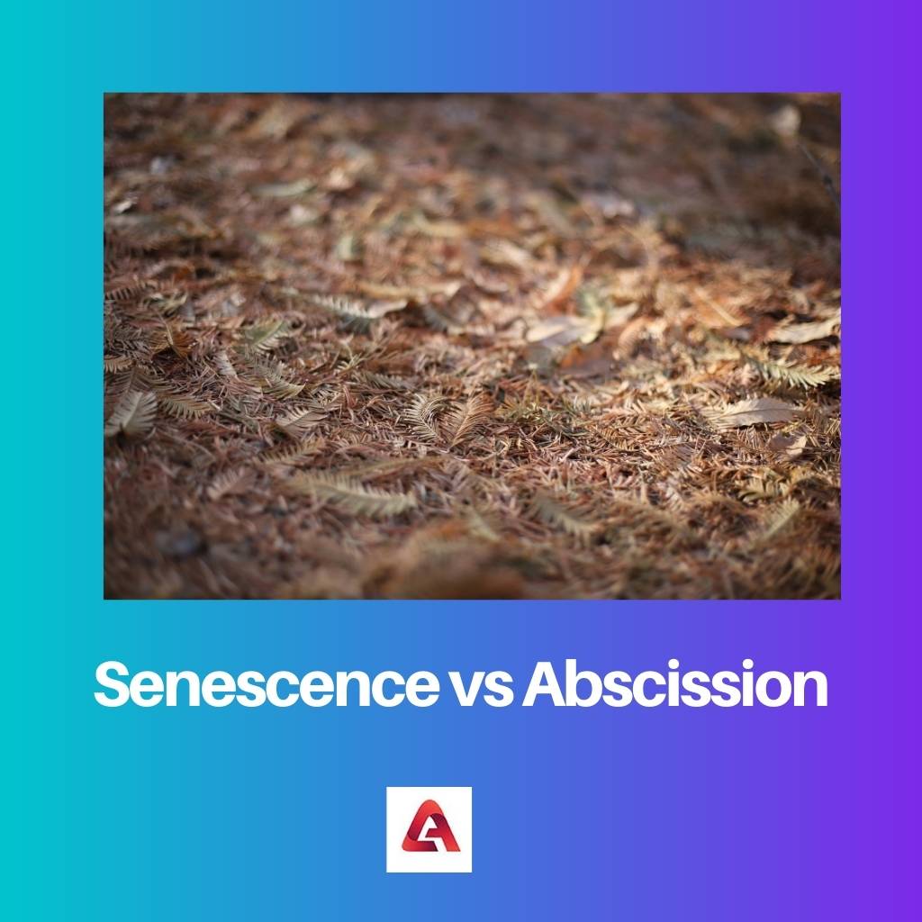 Sénescence vs Abscission