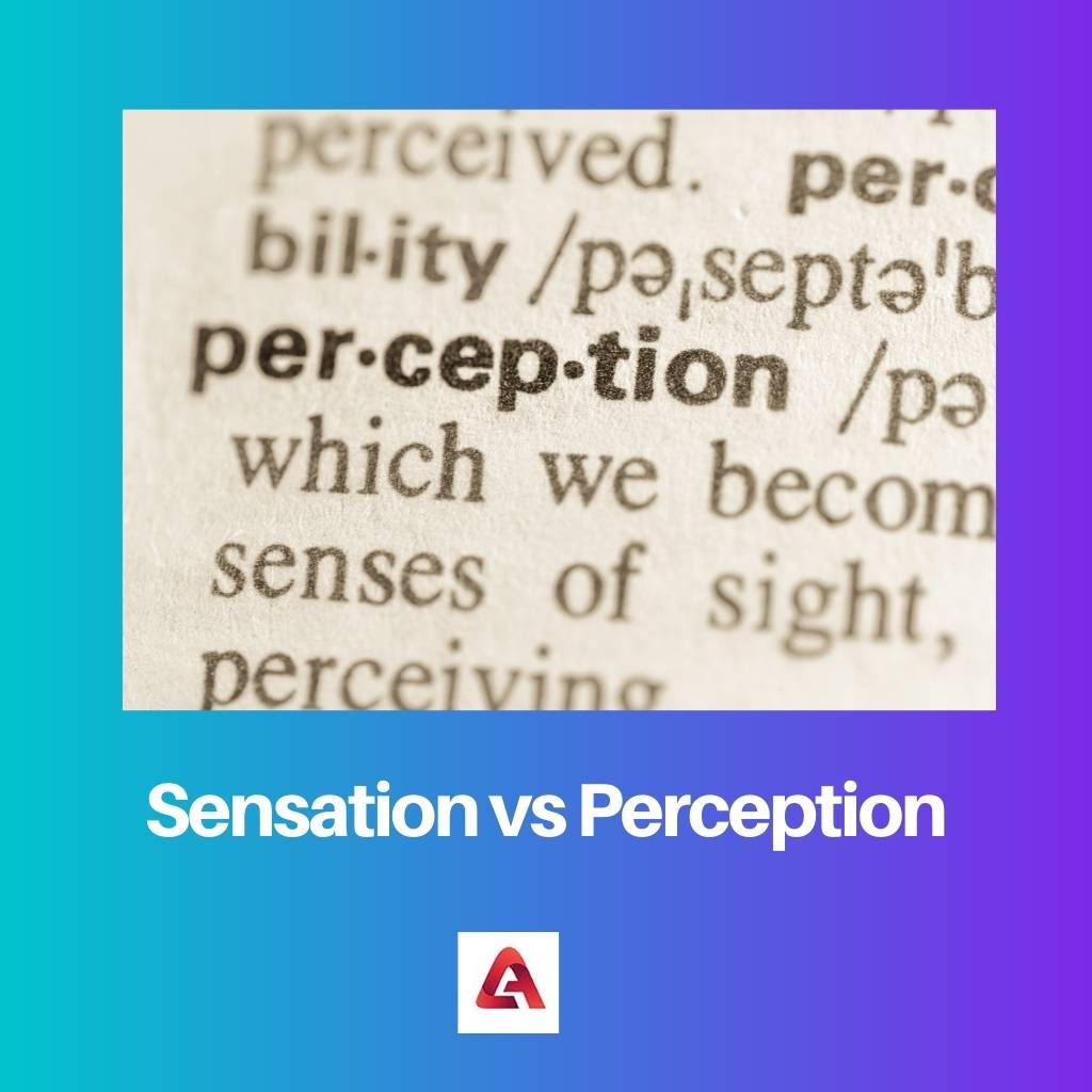 Sensatie versus perceptie