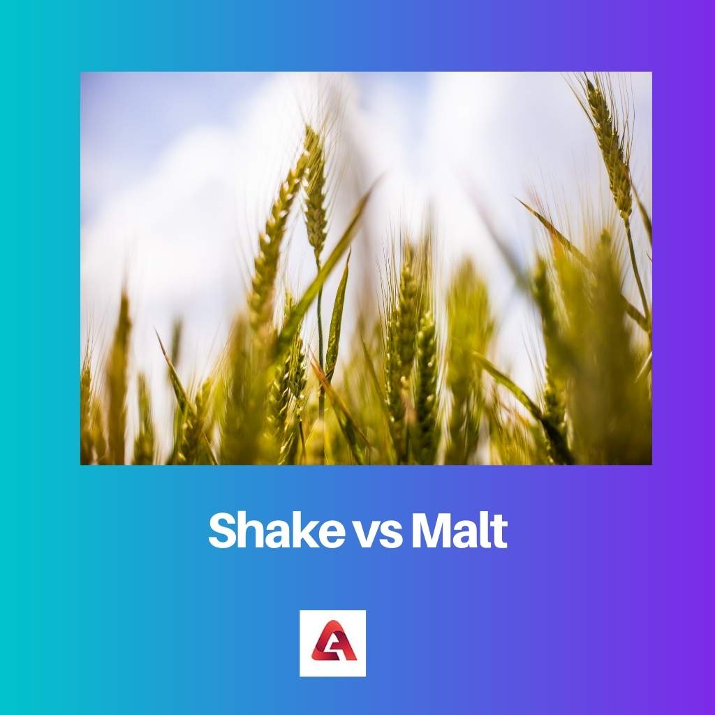 Shake vs Malt