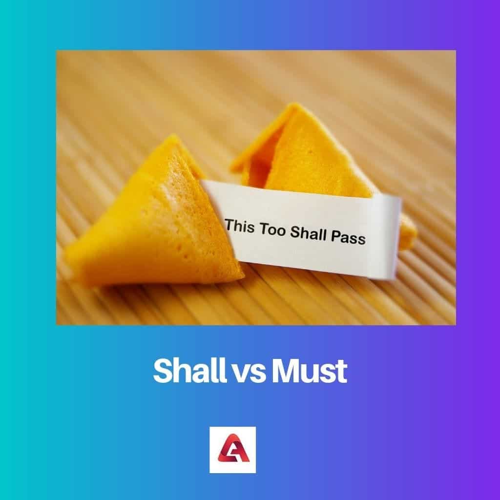 Shall Vs Must Difference And Comparison