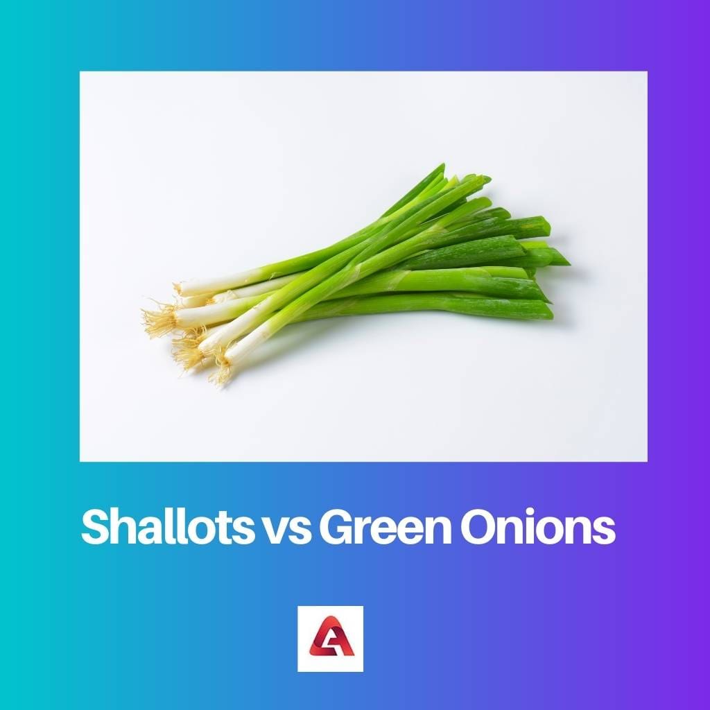 Chalotes vs cebollas verdes