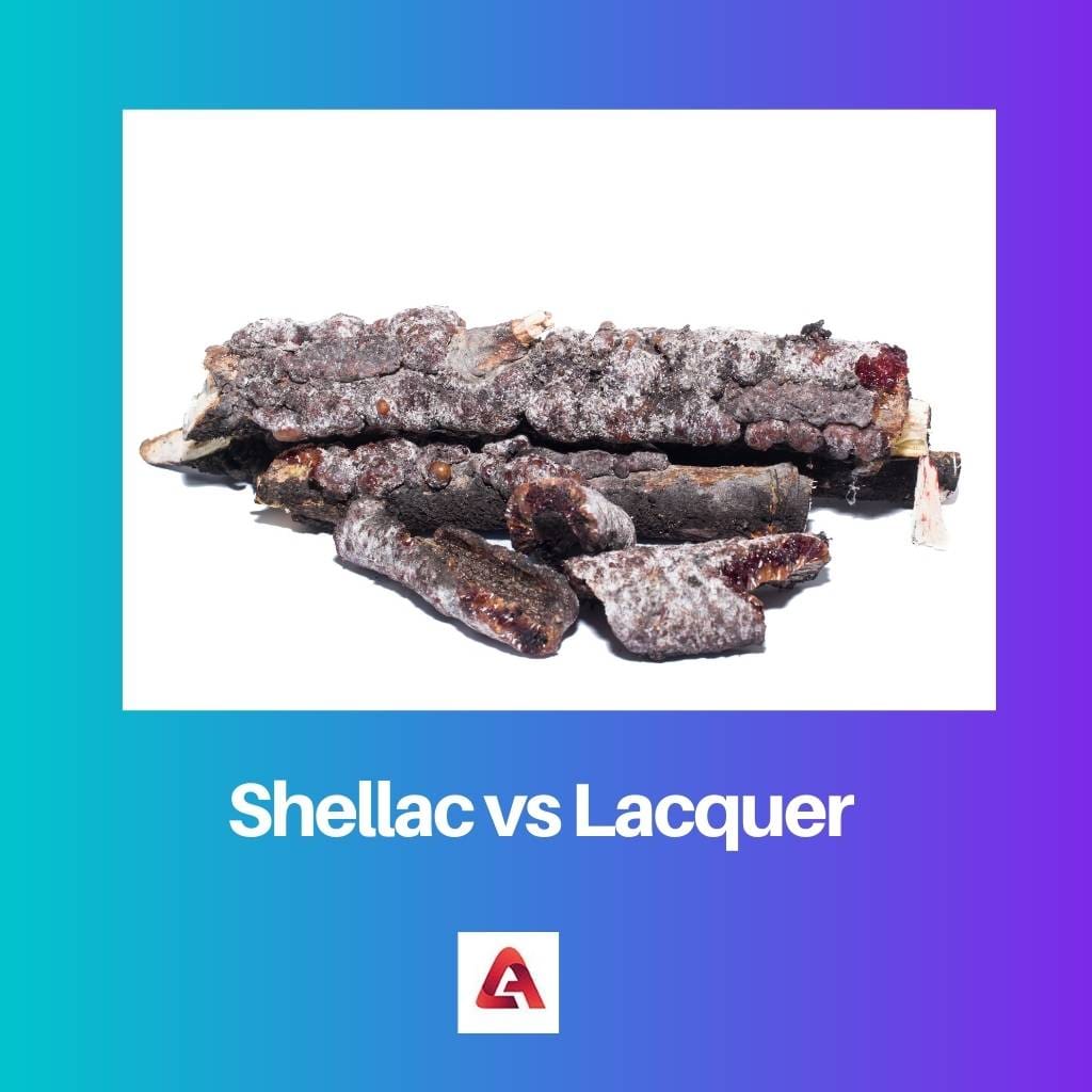 Shellac vs Lacquer