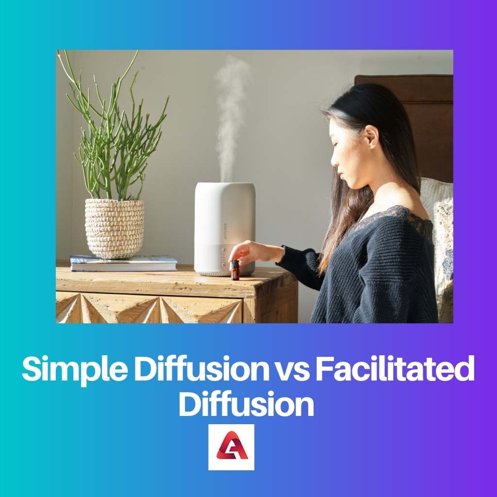 Einfache Diffusion vs. erleichterte Diffusion