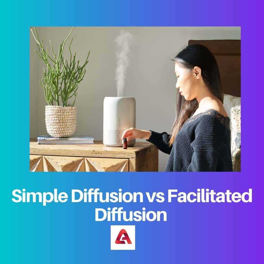 Simple Diffusion vs Facilitated Diffusion