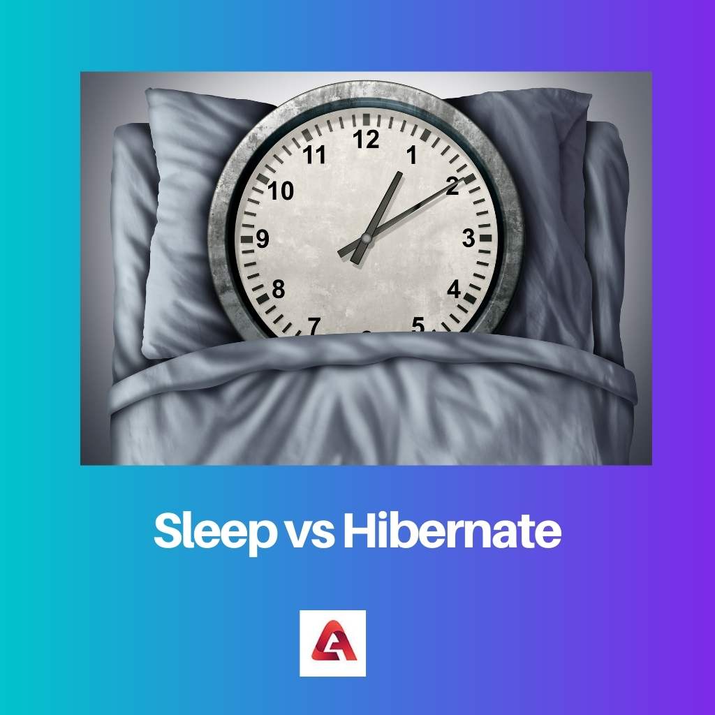 Dormir vs Hibernar