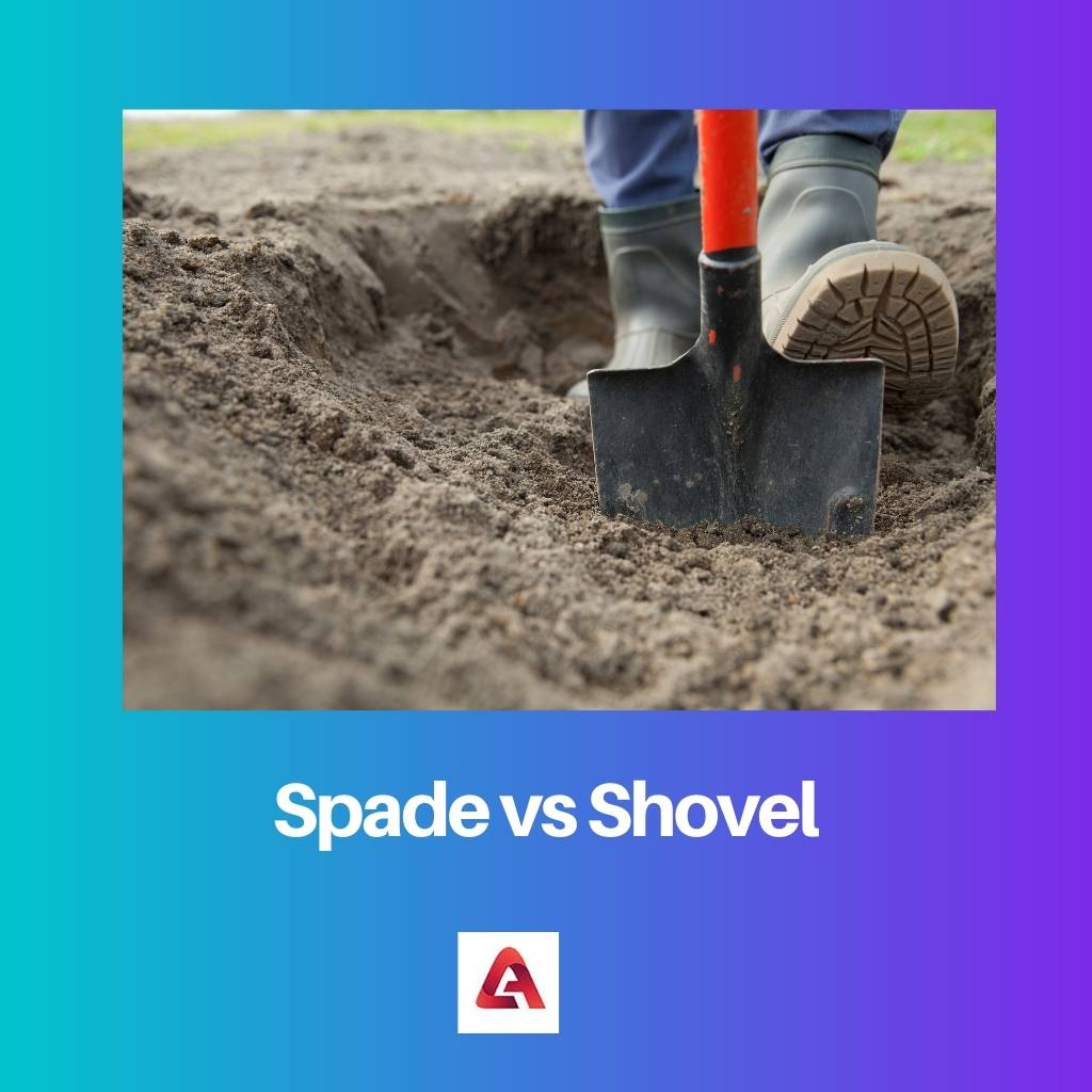Spade vs Shovel