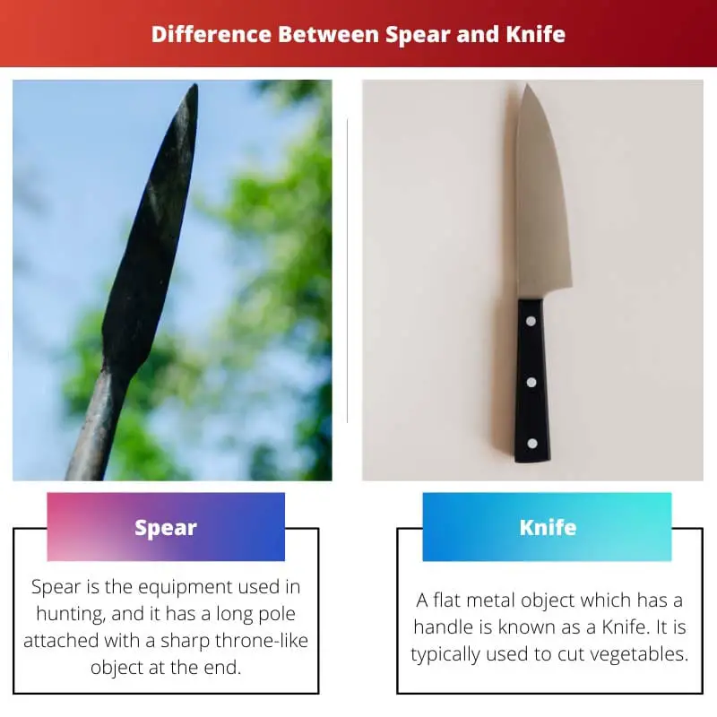 Копье против ножа - разница между копьем и ножом