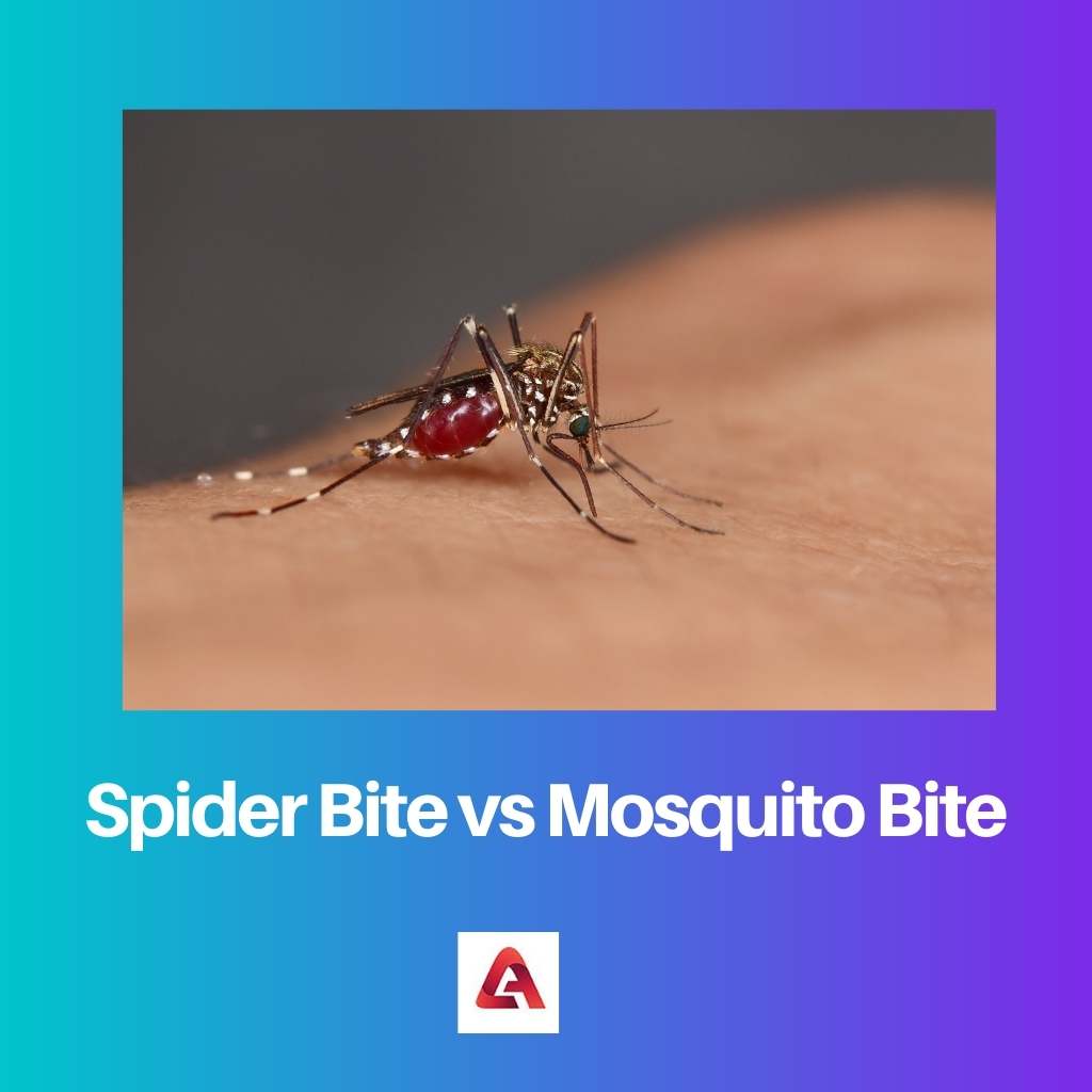 Kousnutí pavoukem vs kousnutí komára