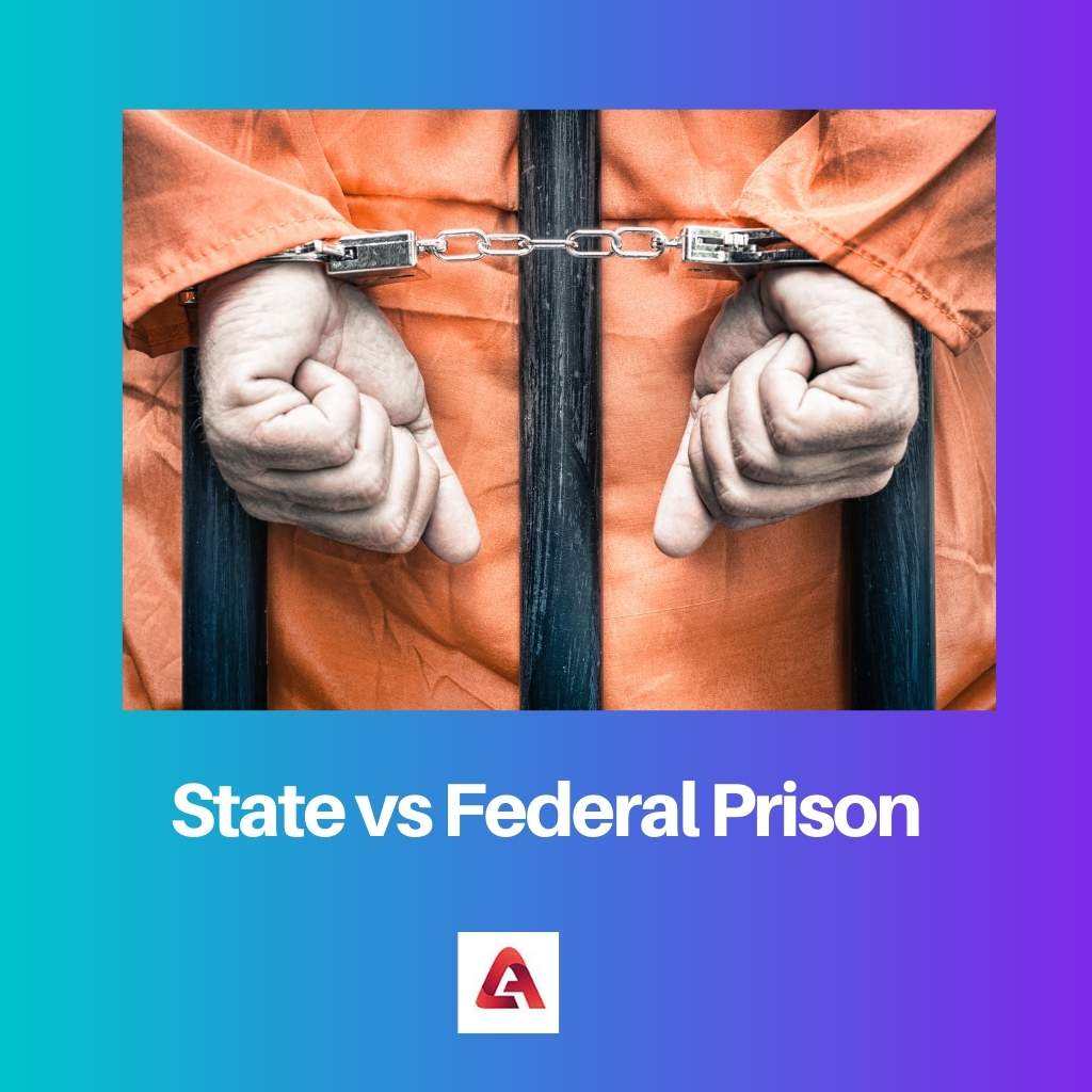 State vs Federal Prison