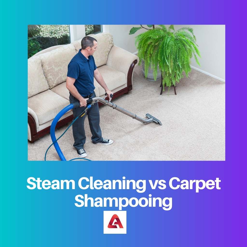 Limpeza a vapor versus lavagem de tapetes