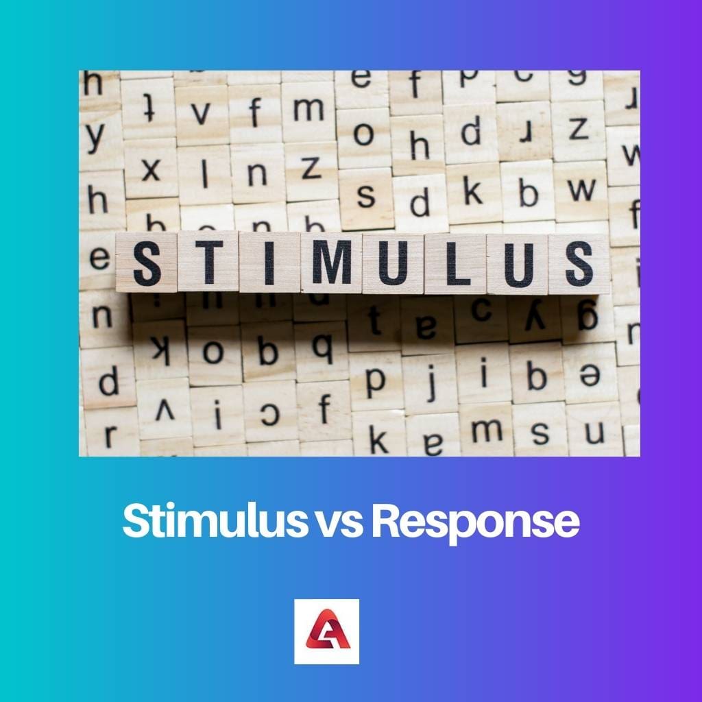 Stimulus vs réponse