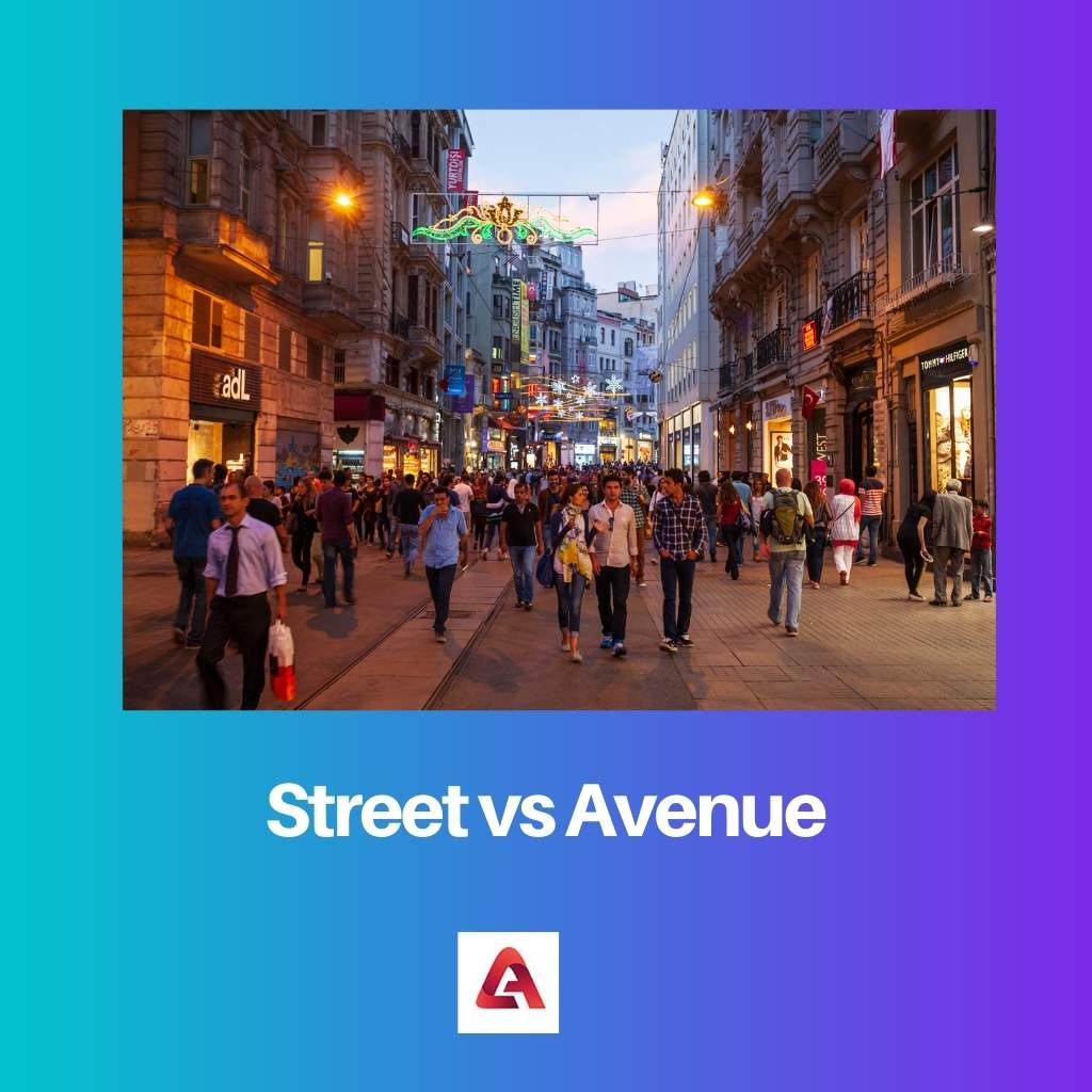 Ulica vs Avenija