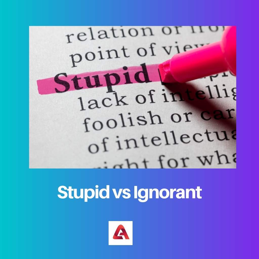 Estúpido vs Ignorante