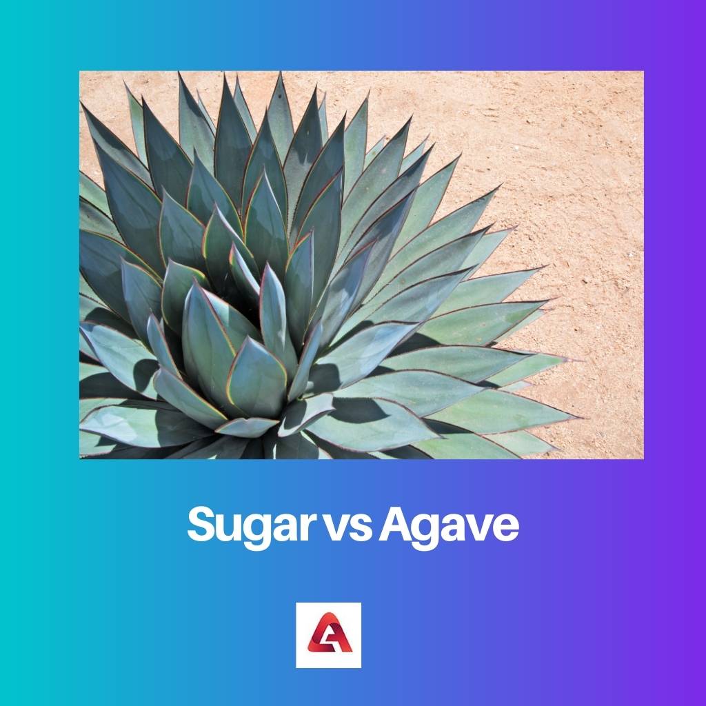 Suiker versus Agave