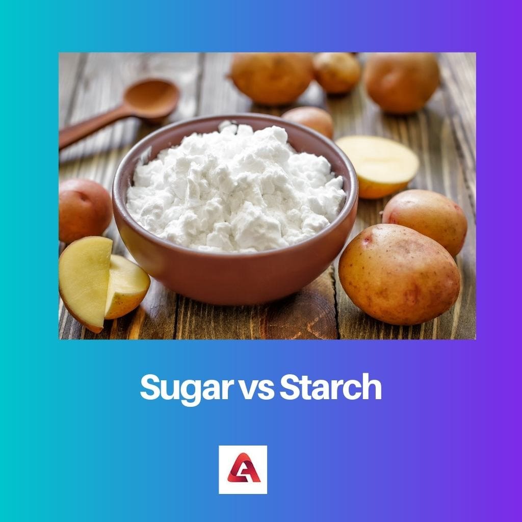 Sugar vs Starch