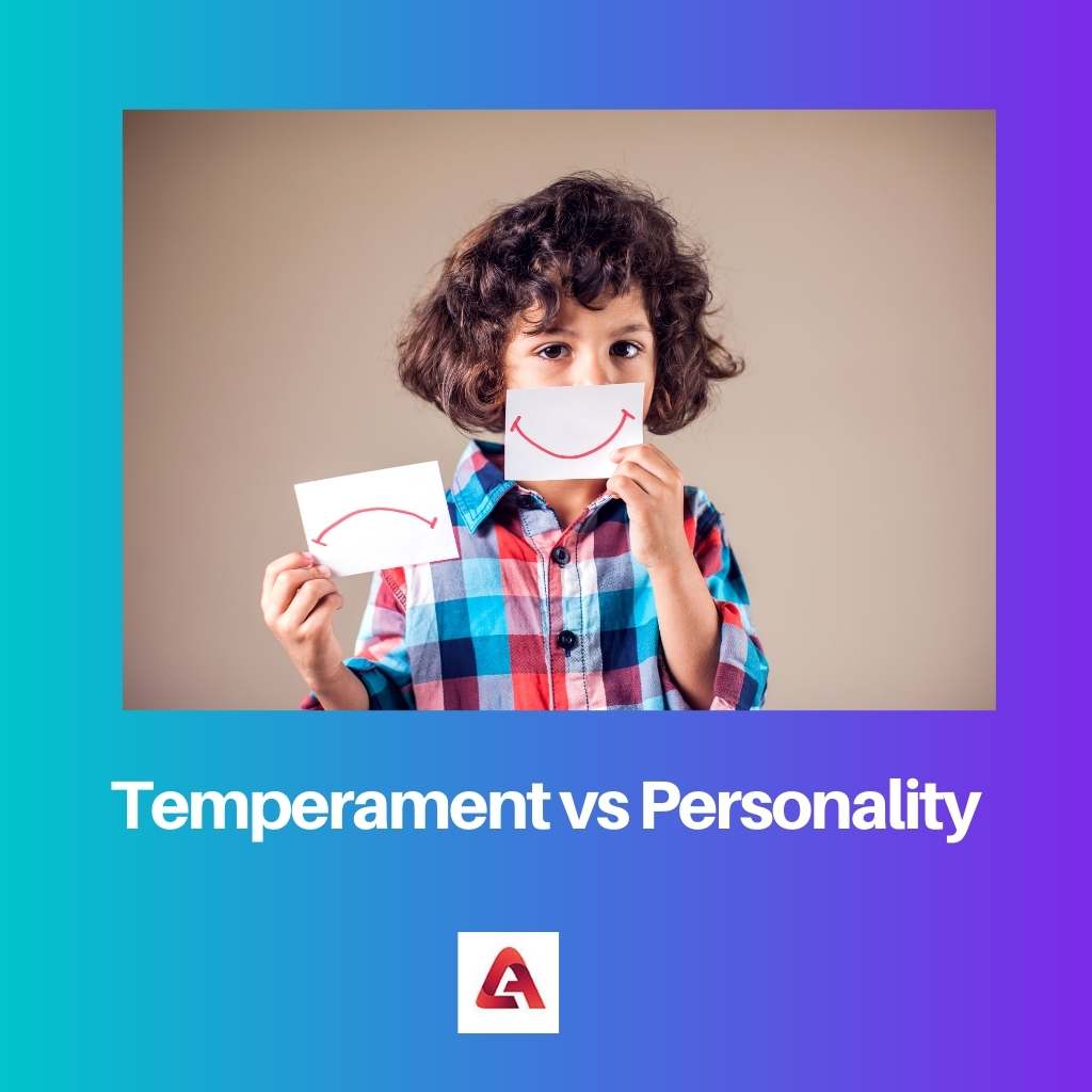 Temperament versus persoonlijkheid