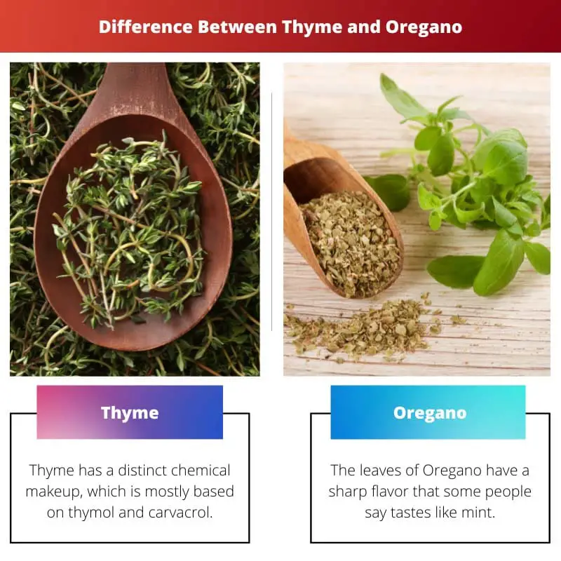 Thyme vs Oregano – Sự khác biệt giữa Thyme và Oregano