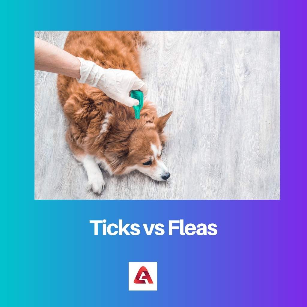 Ticks vs Fleas