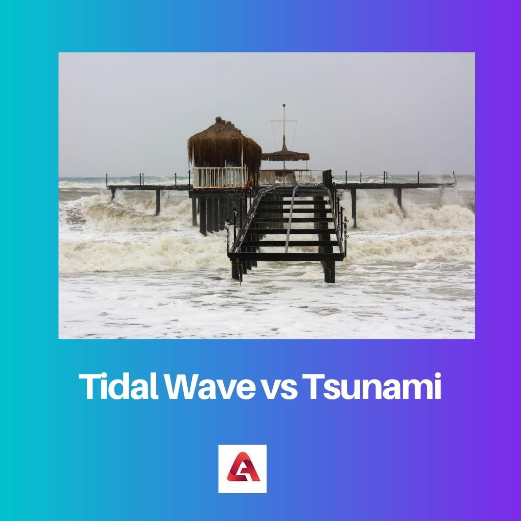 Maremoto vs Tsunami