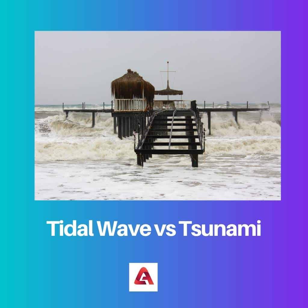 Tidal Wave vs Tsunami: Difference and Comparison