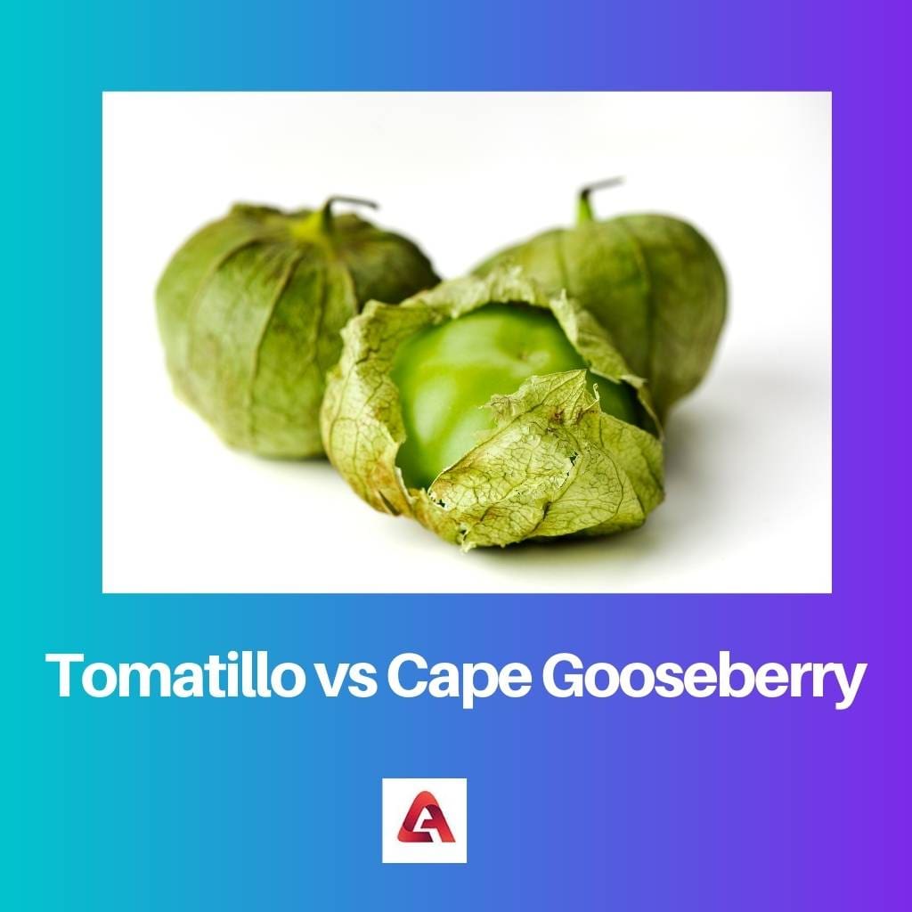 Tomatillo vs Cape Gooseberry