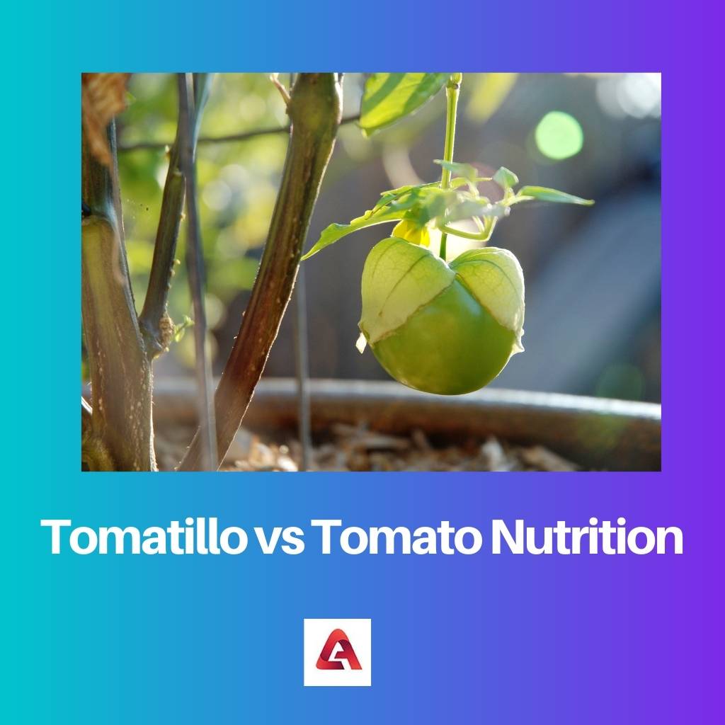 Tomatillo vs Tomate Nutrition