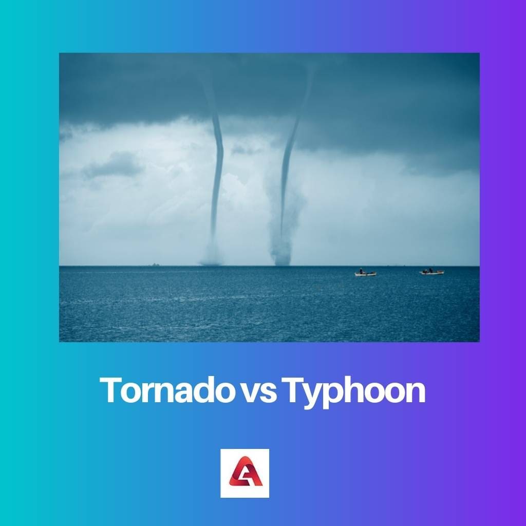 Tornado vs Typhoon