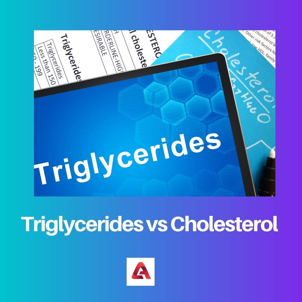 Triglycerides vs Cholesterol