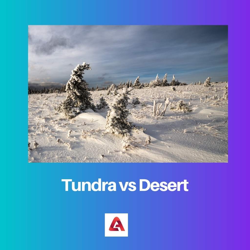 ツンドラ vs 砂漠