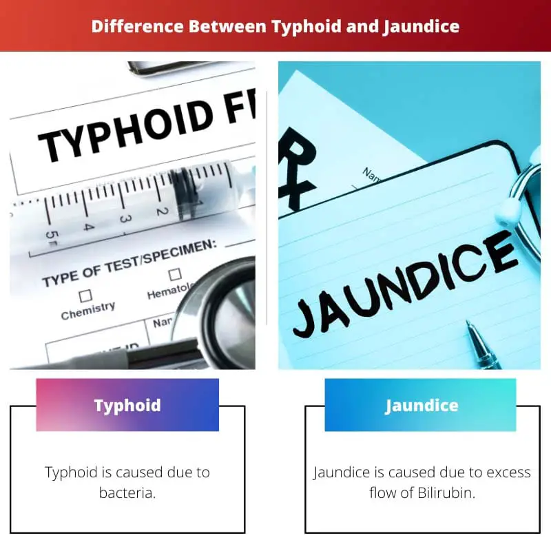 Typhoid vs Jaundice – Difference Between Typhoid and Jaundice