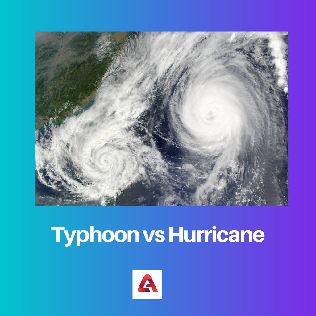 Тайфун против урагана