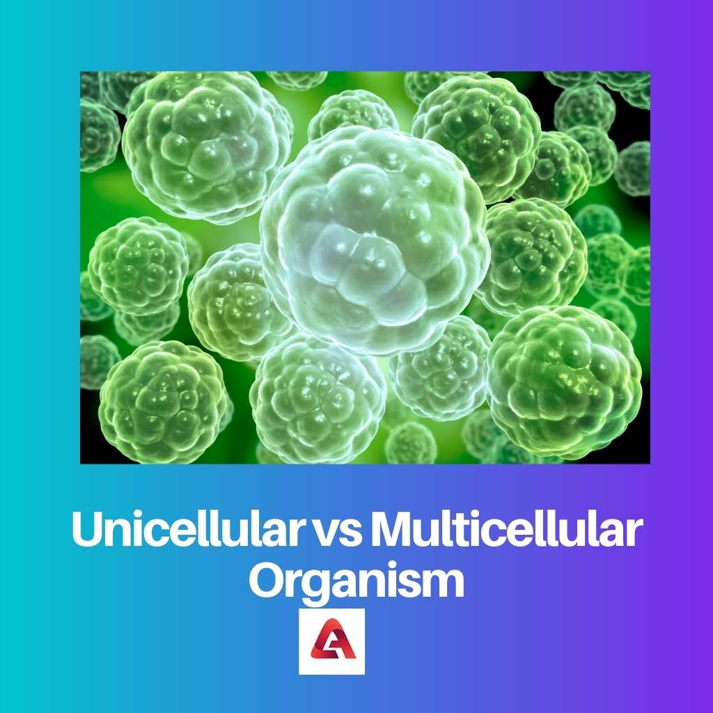Organismo unicellulare vs pluricellulare