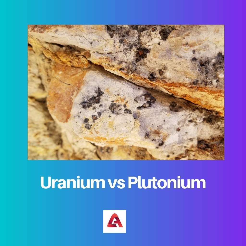 Uranium versus plutonium