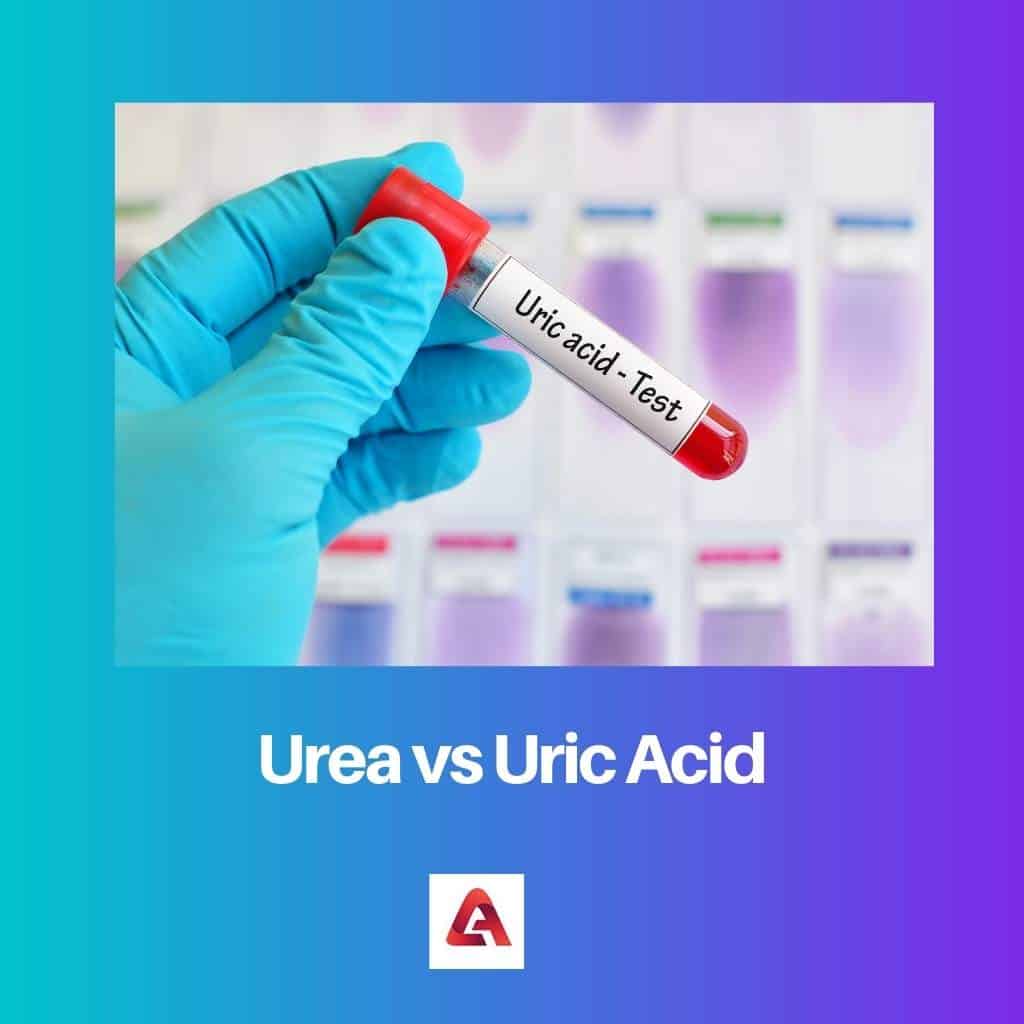 Urée vs acide urique