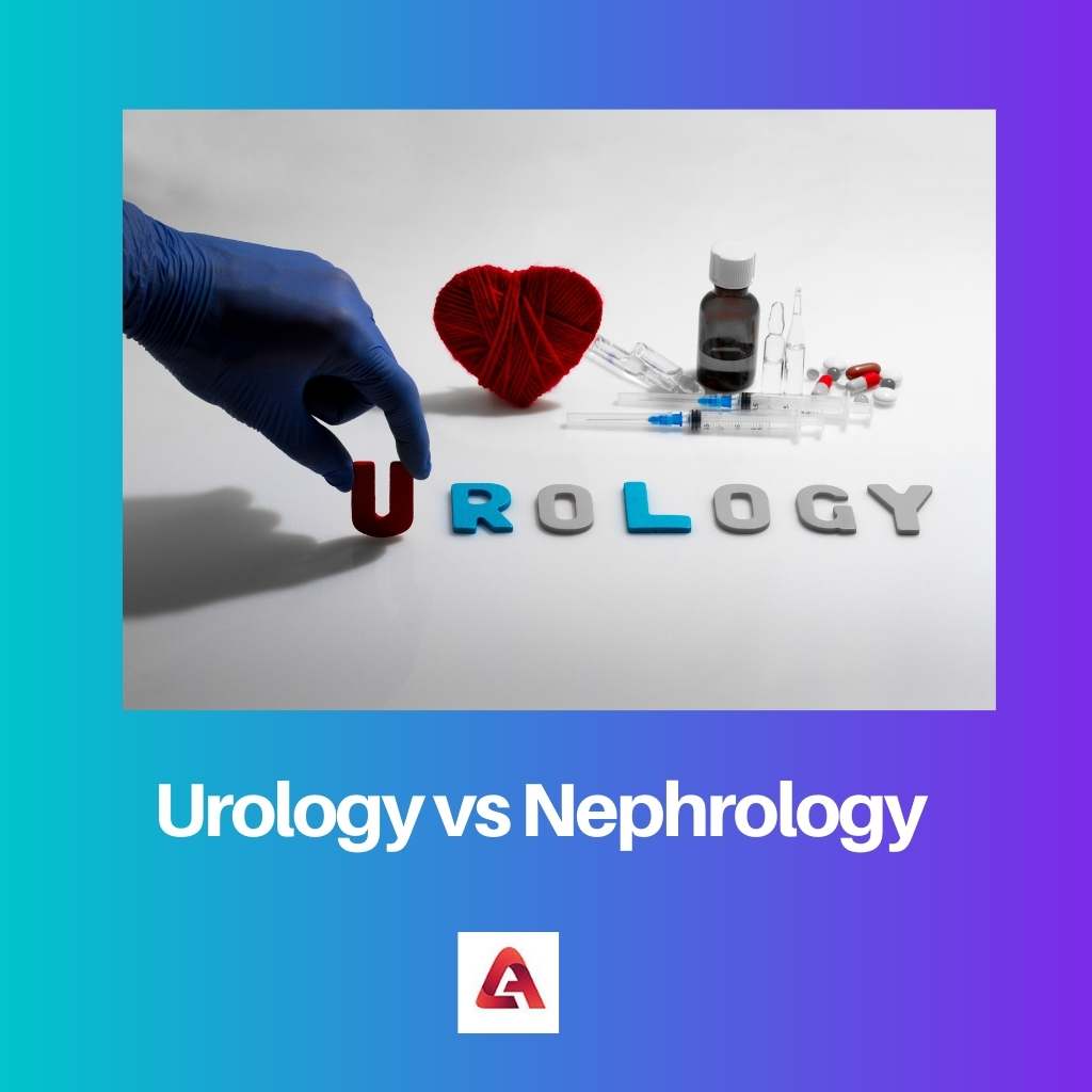 Urologie vs. Nephrologie