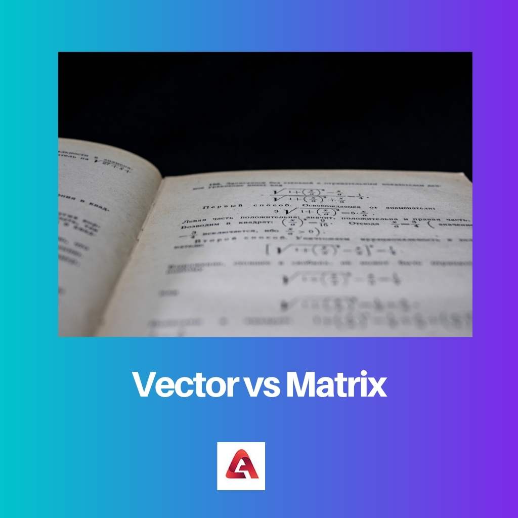 Difference Between Vector And Matrix