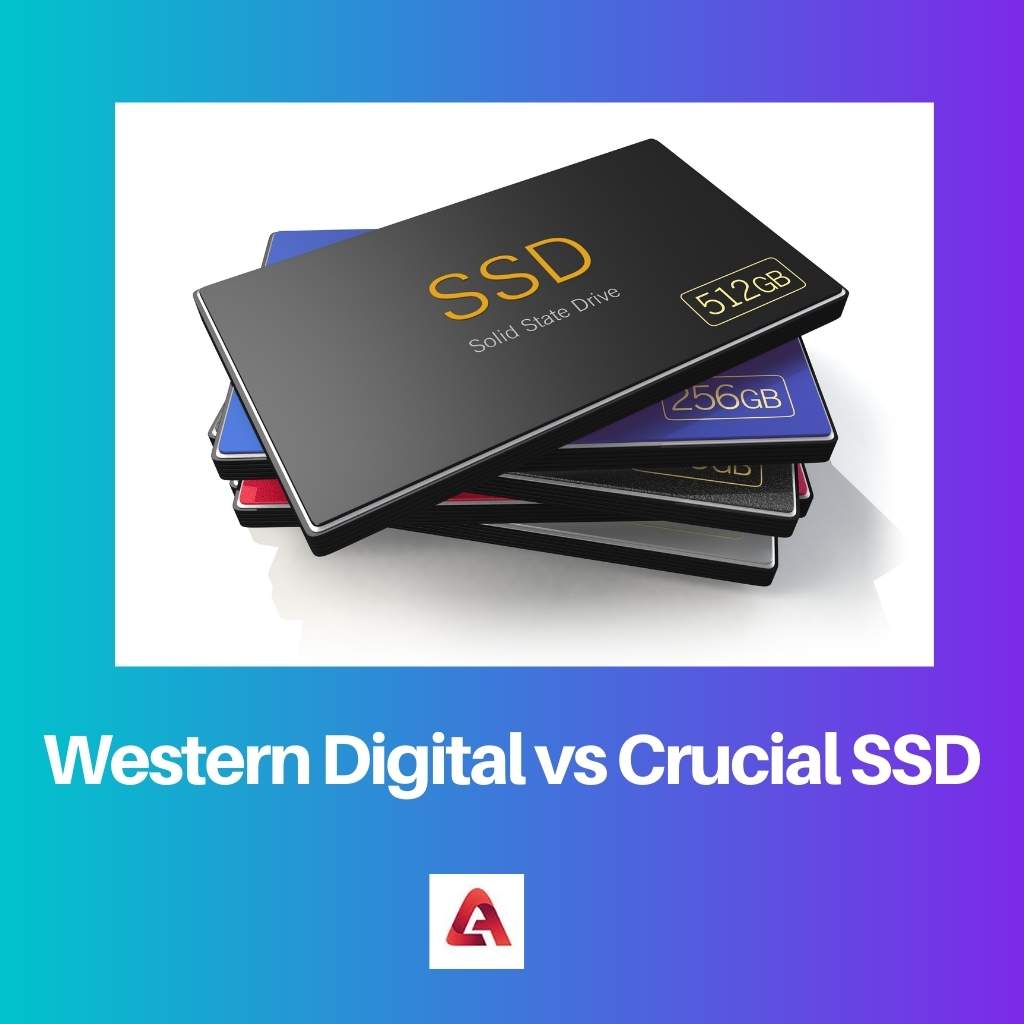 Western Digital vs Crucial SSD