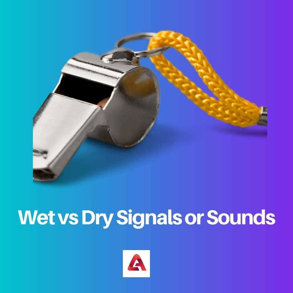Signaux ou sons humides vs secs